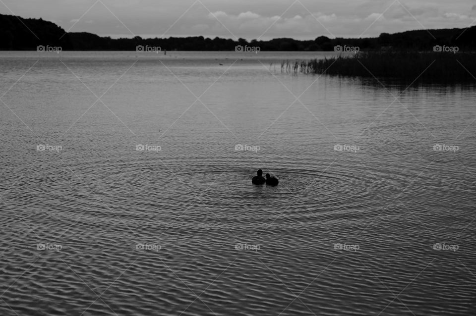 water rings