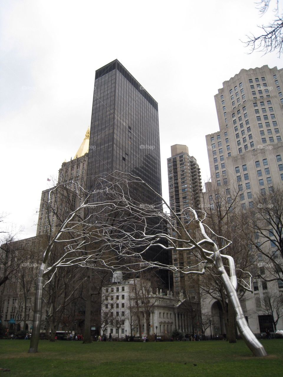 sky trees park buildings by ngboo