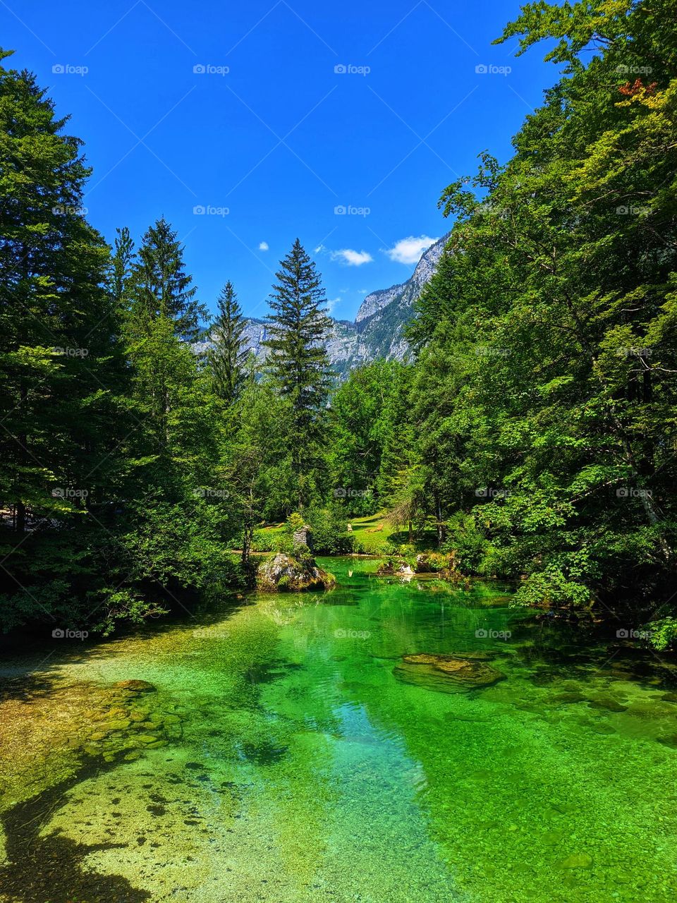 Scenic view of green Alps mountains against blue sky and beautiful blooming flowers in Slovenia. Summer time. Vacation. Landscape