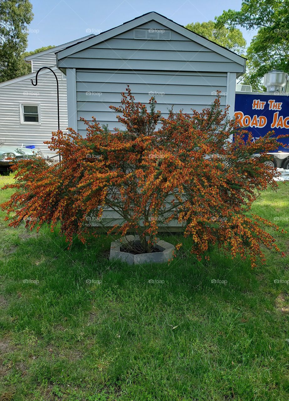 this season's explosion!