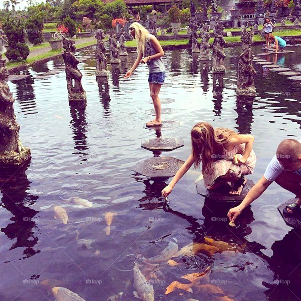 people have fun to feeding fish