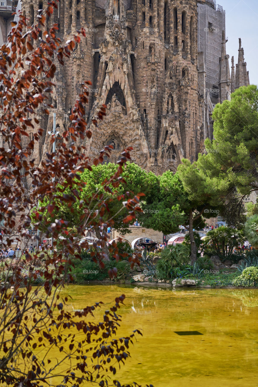 Sagrada Familia from the park beside