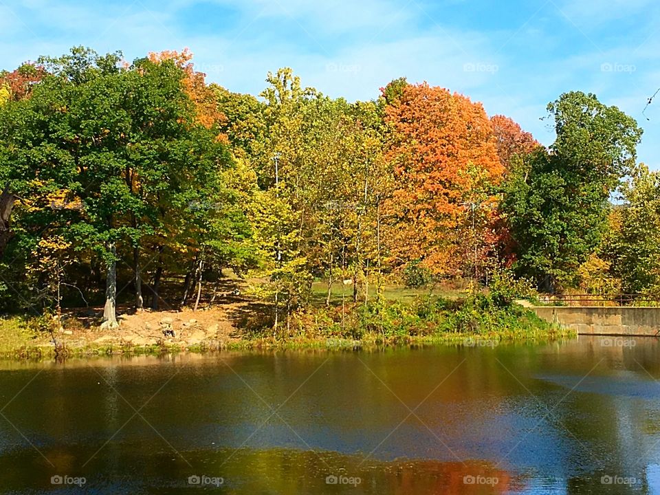 Fall foliage on a lake