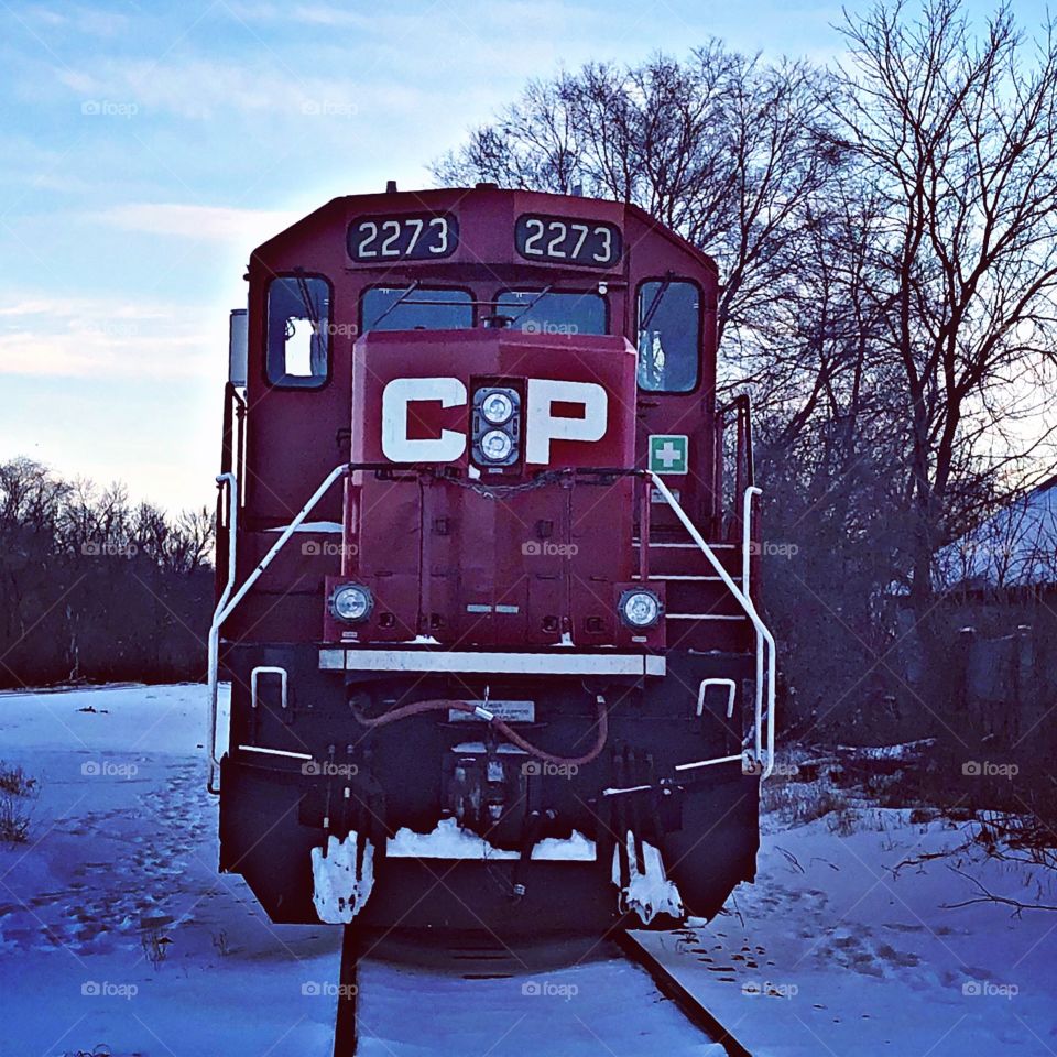The Canadian pacific 