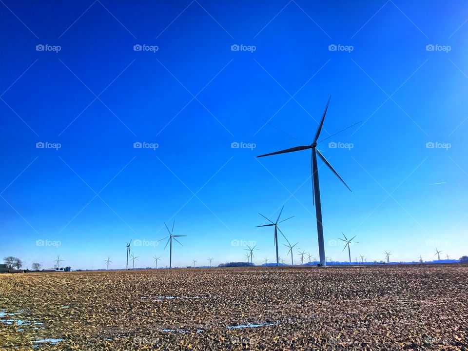 Wind mills in the corn field 