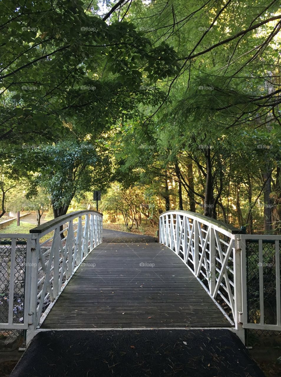 A view of a small bridge at Cooper's Pond Park.