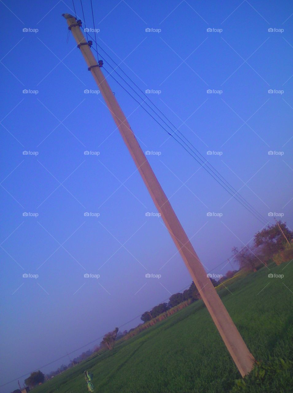 Pole in the fields
