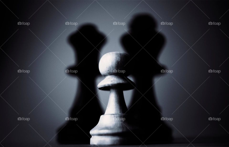 shadow of chess coin