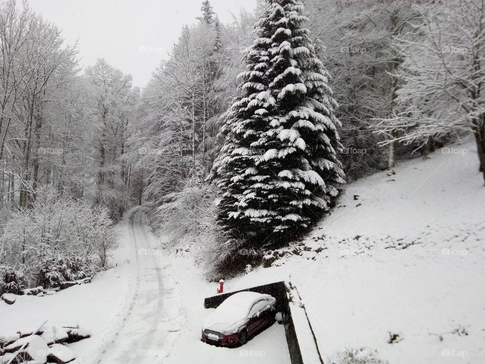 Bad Wildbad in winter