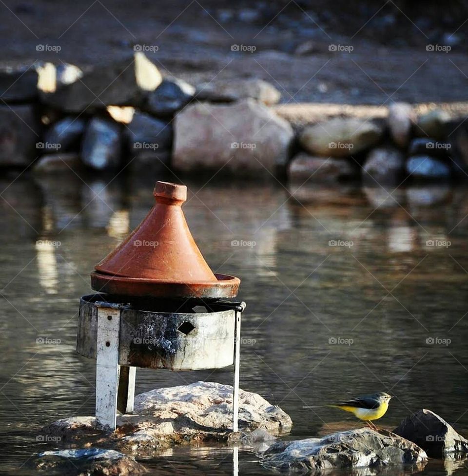 moroccan tagine