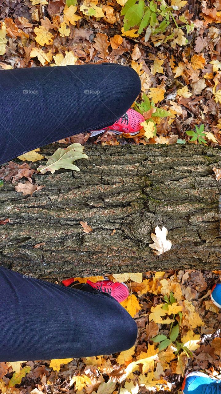 legs in the autumn forest, leaves.
