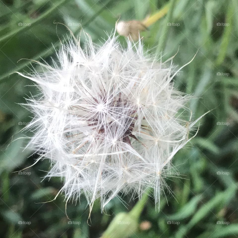  white colour stories 