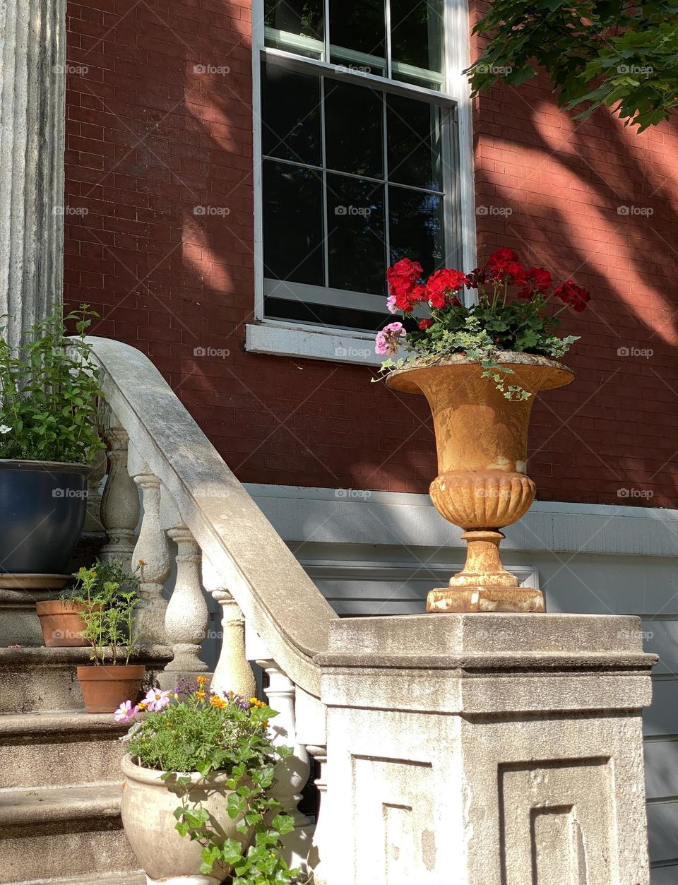 Flowers in front of the building. Manhattan New York. 