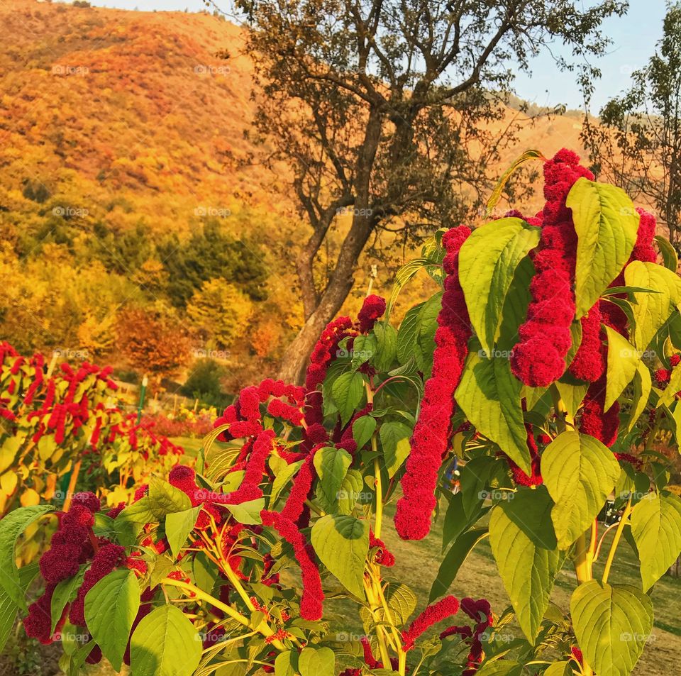 Colours is an essential part of life