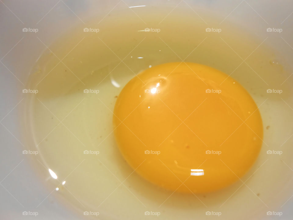 Egg - No Shell