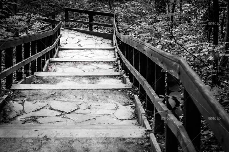 Wooden stairs at forest