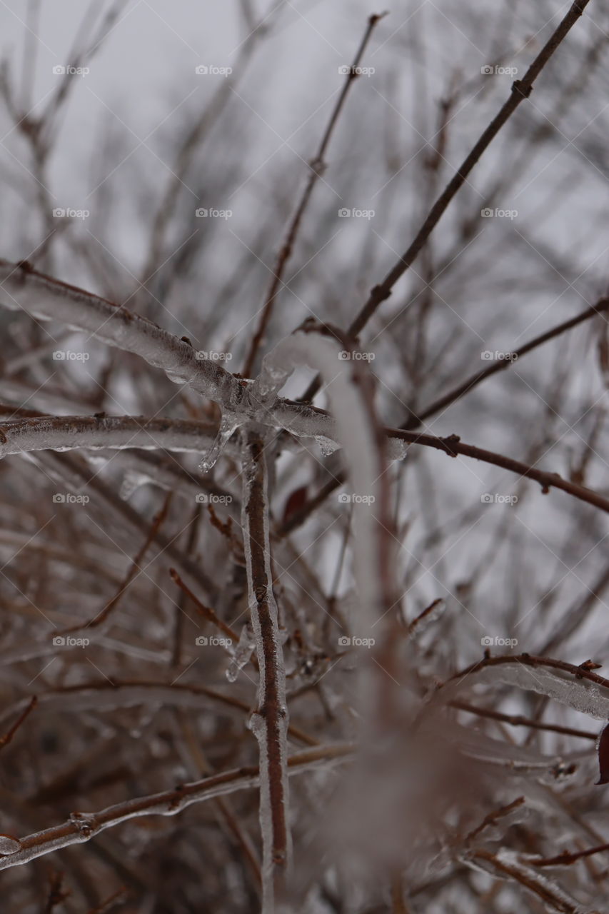 Spring is just around the corner 