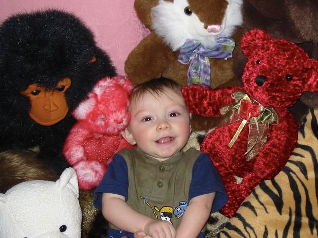 Baby with stuffed animals