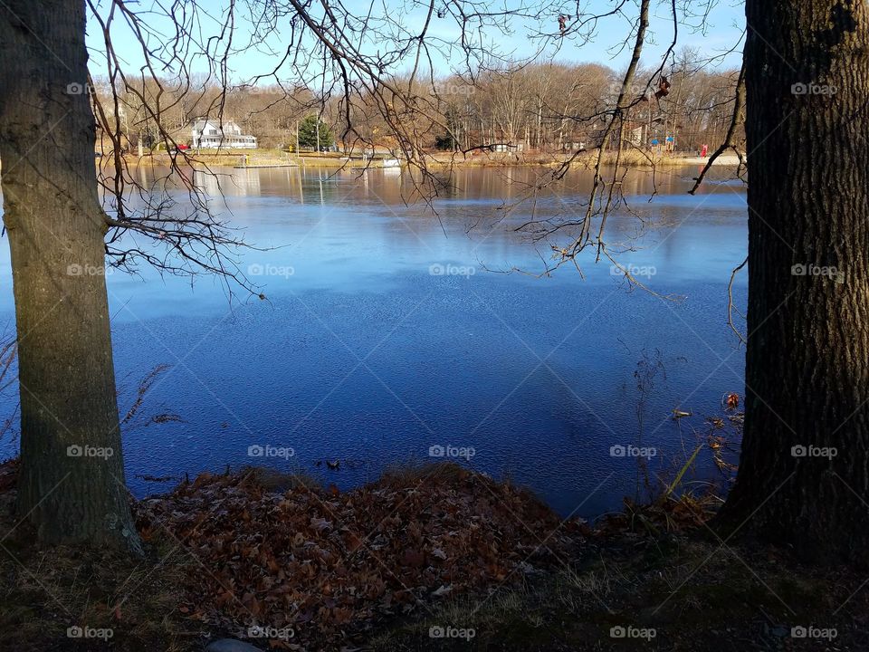 Icy lake in a park