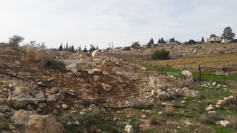 Landscape, No Person, Rock, Stone, Nature