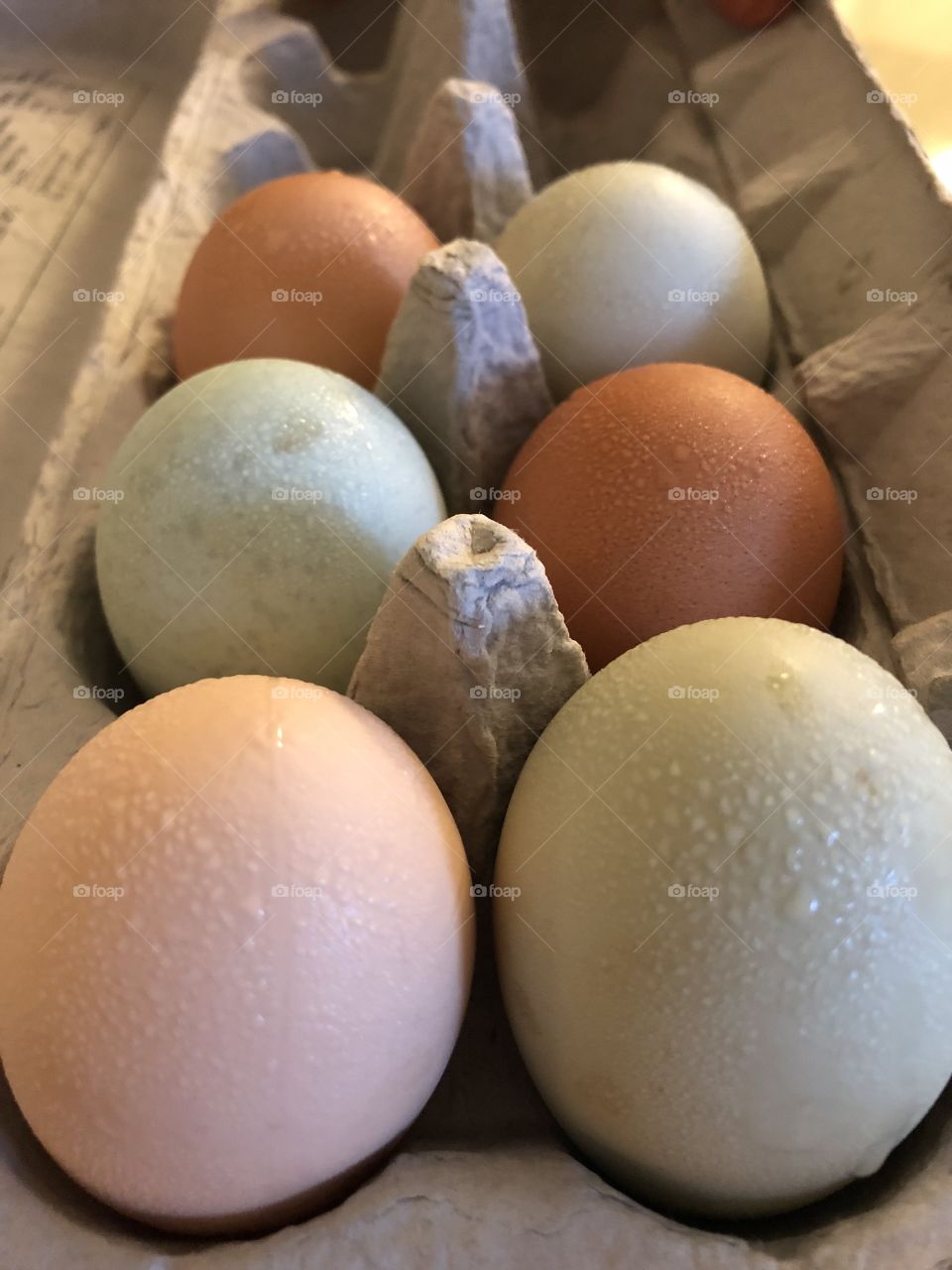 Multi-colored eggs