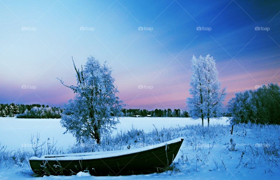 Winter wonderland. north sweden winter