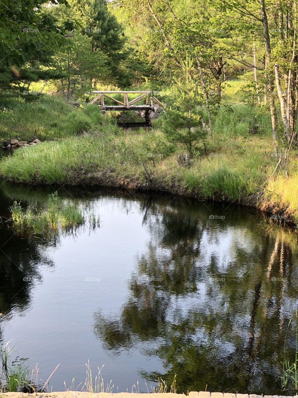 River reflections and greenery in Acadia National Park in Bar Harbor, Maine USA 