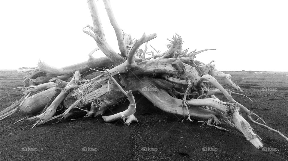 Success chasers ended up ,United or not, on an awesome yet deserted beach...how to face one self ?