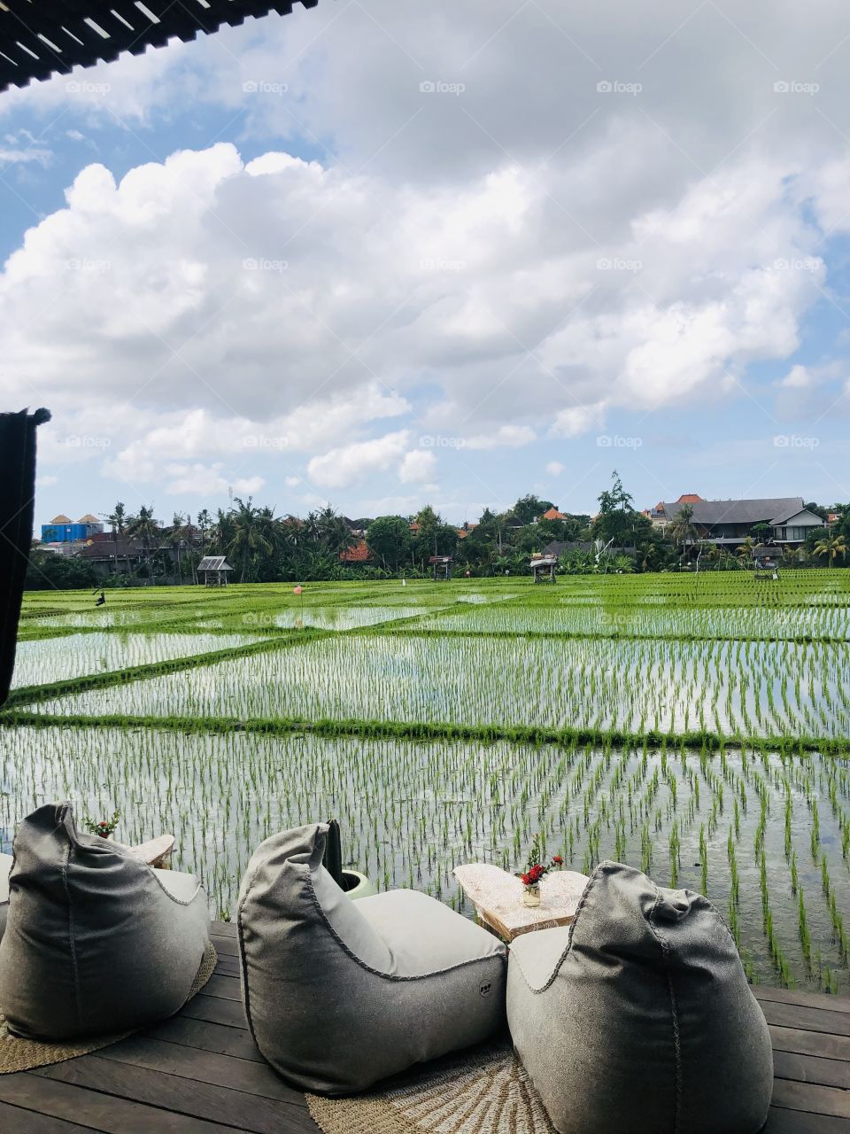 View from lunch here in Bali 