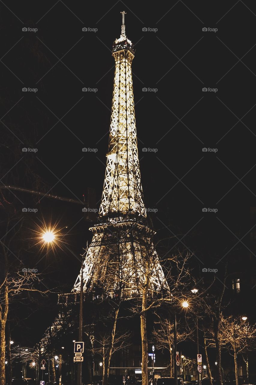 Eiffel Tower. Paris, France.
