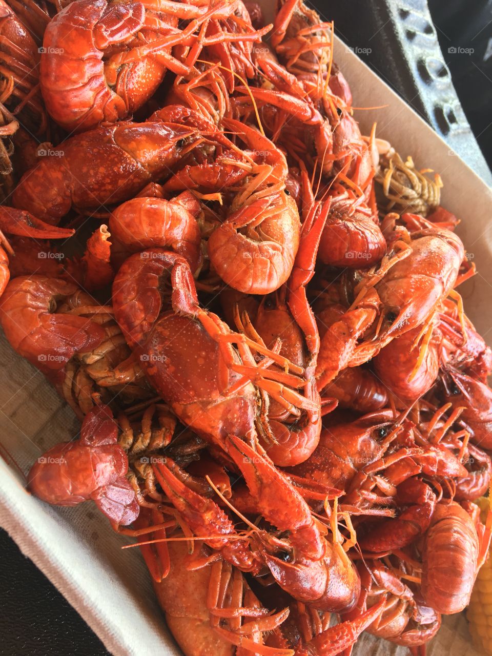 High angle view prawns