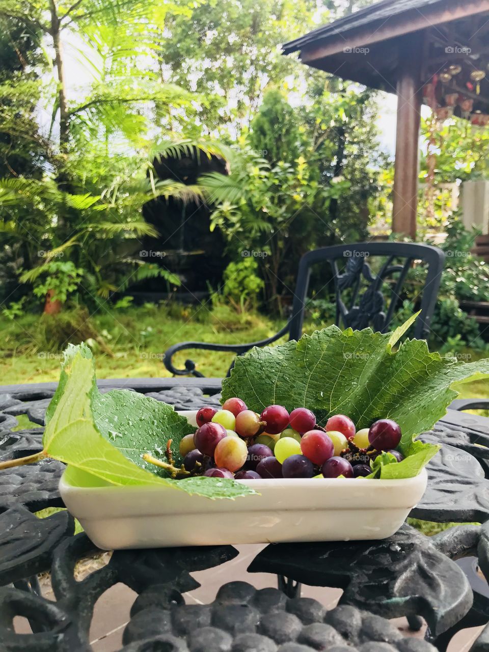 Refreshing garden view corner 