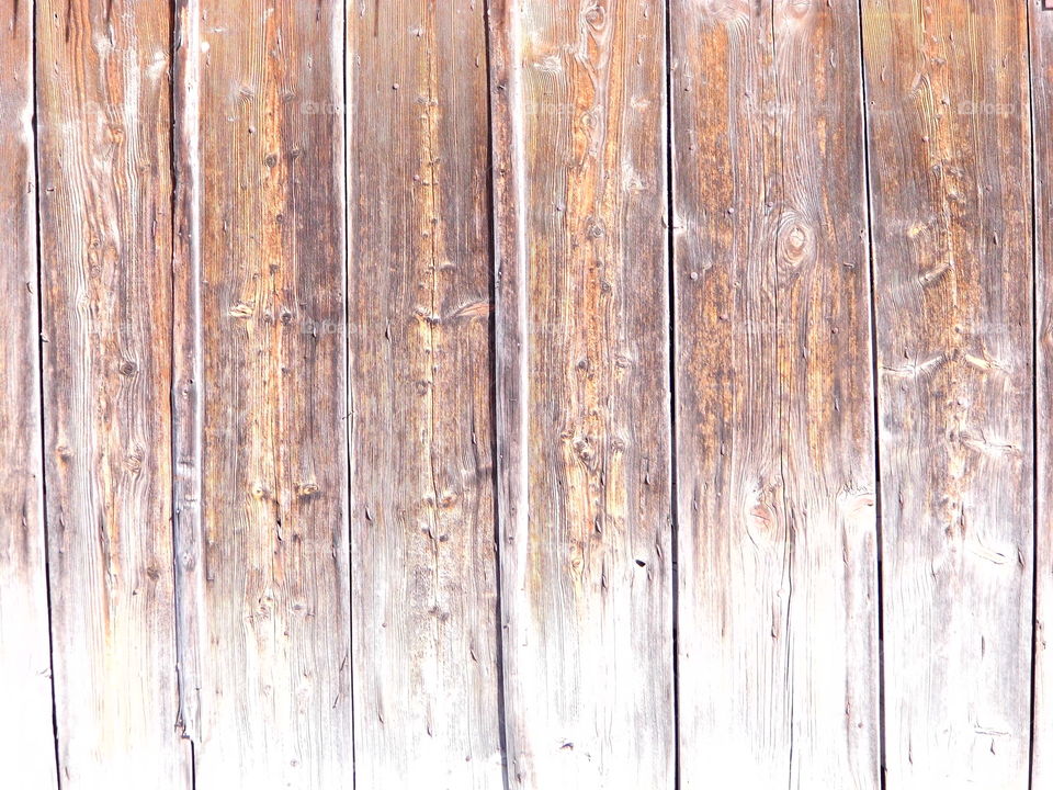 old wood in nature and nice