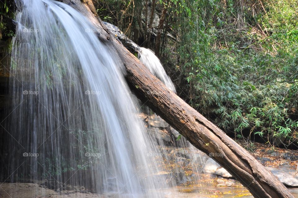 Nature, Wood, Water, Waterfall, Stream