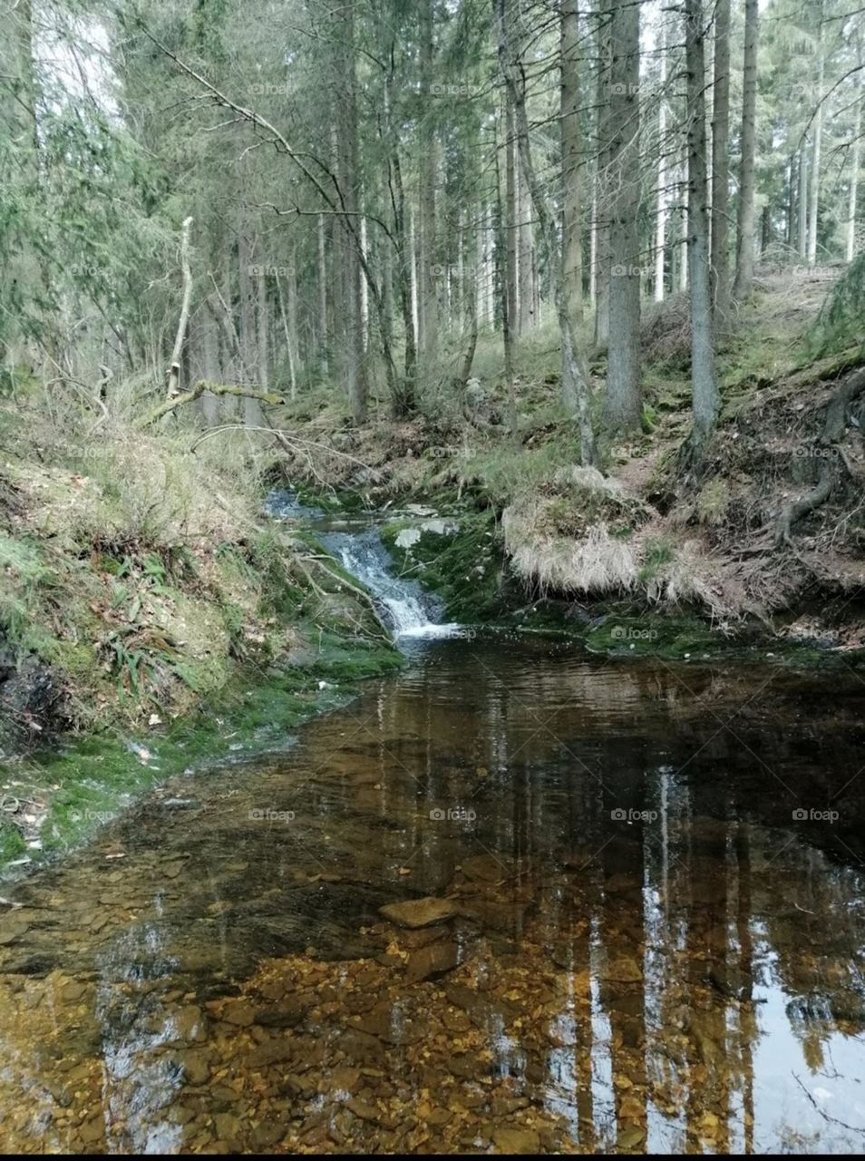 week end dans les Ardennes belge