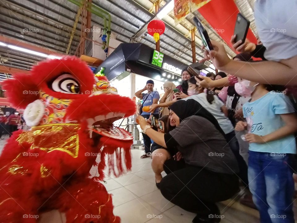 In Chinese culture, the lion symbolizes power, wisdom, and superiority. People perform lion dances at Chinese festivals or big occasions to bring good fortune and chase away evil spirits.