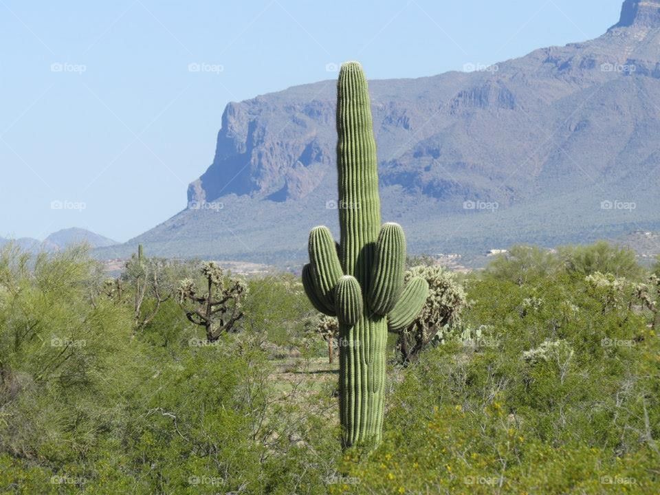 superstition mountain