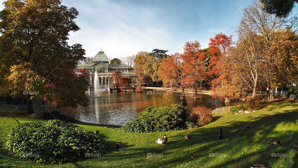 Colores de Otoño 
Autumn colors