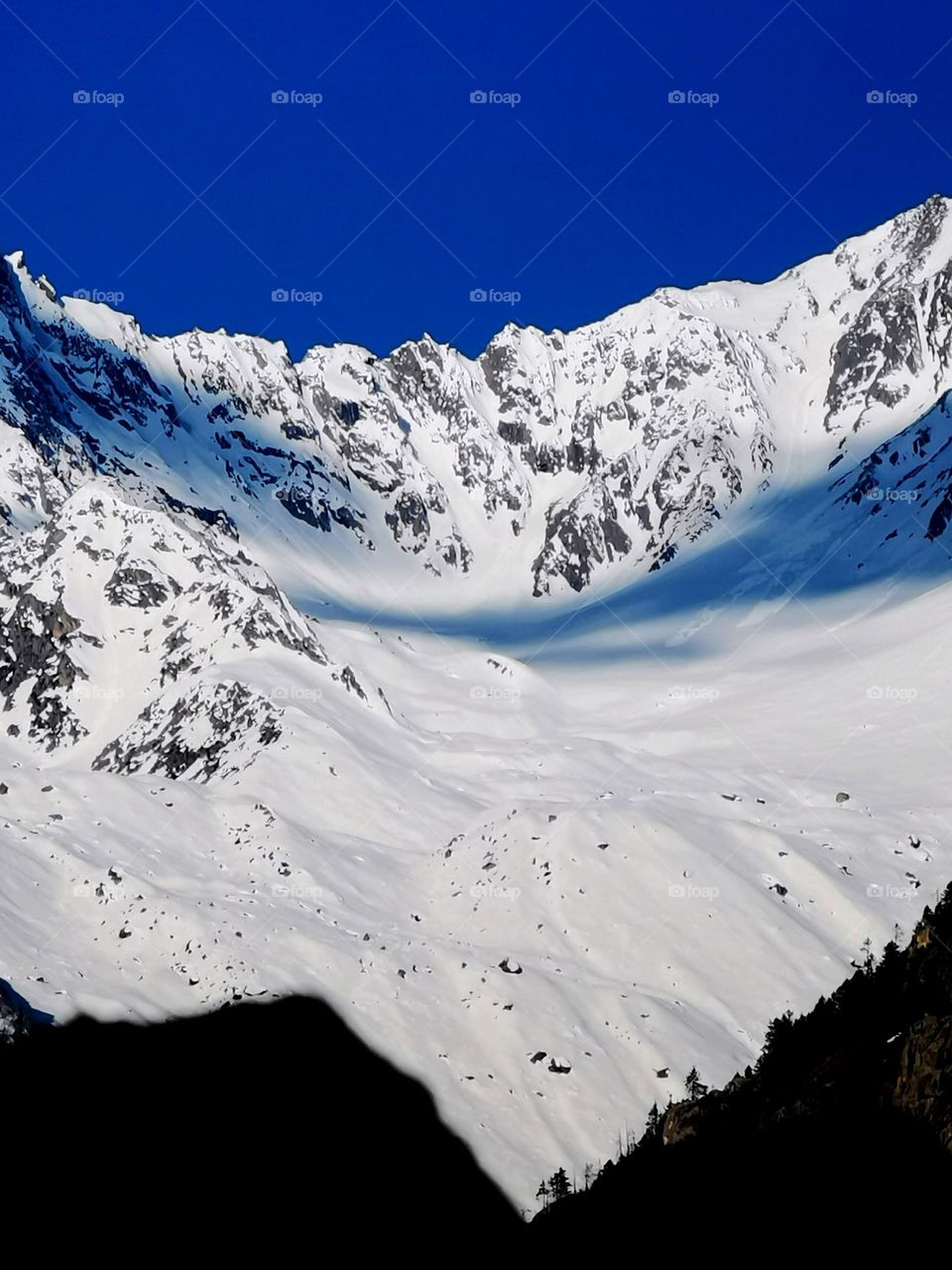 Good morning foappers