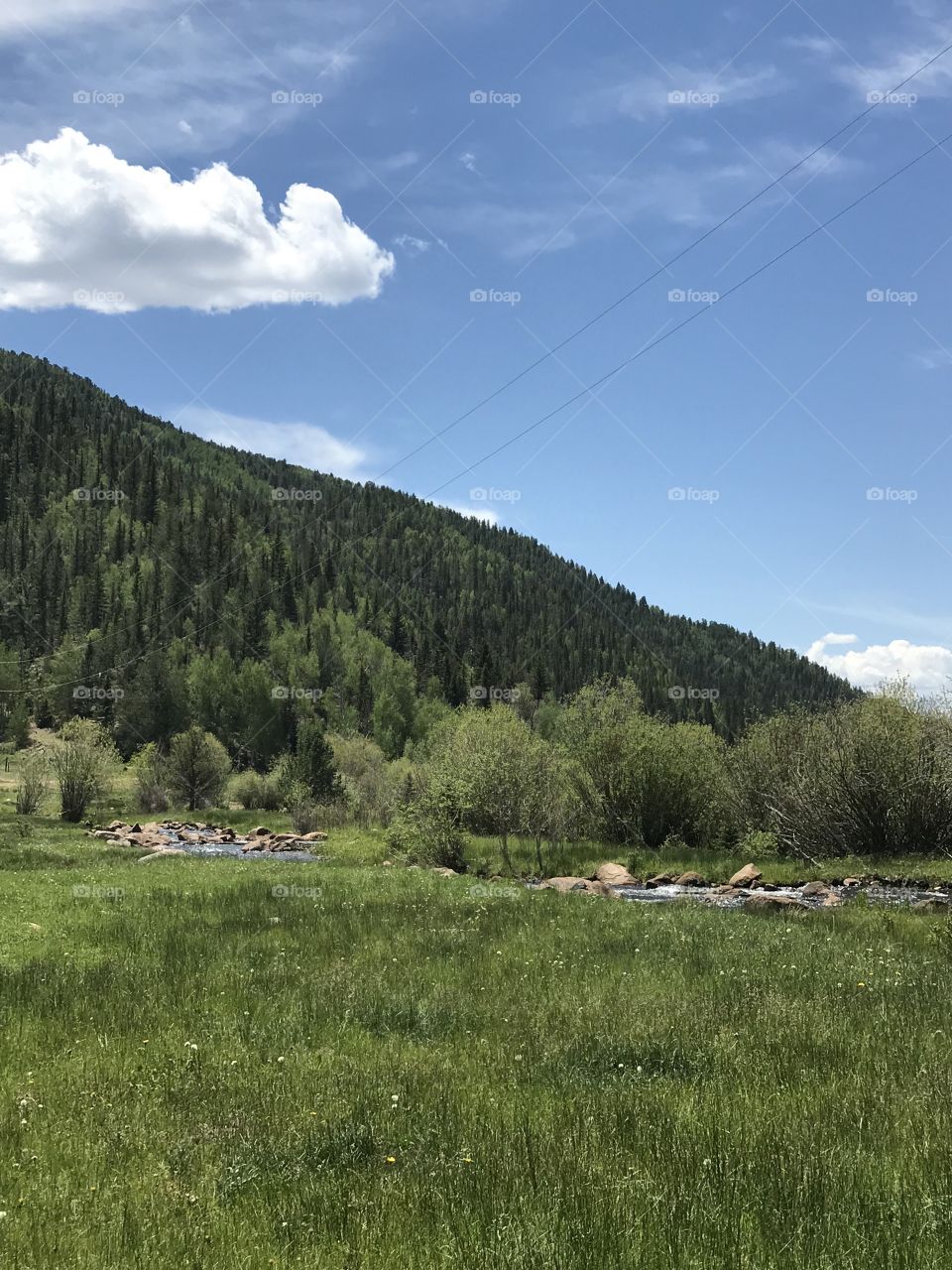 A hiking spot along west beaver creek below Skagway reservoir in Colorado. It’s peaceful with beautiful views