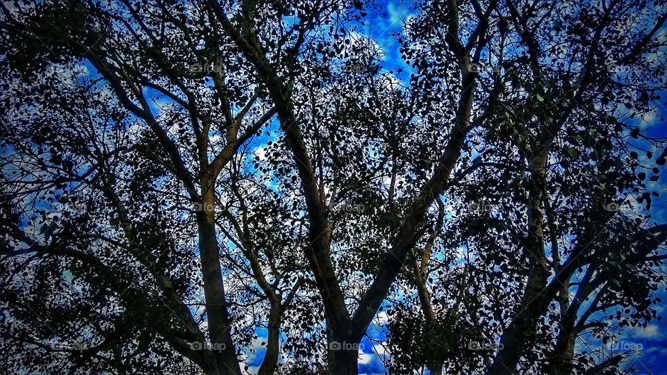 nature beauti ....⛲