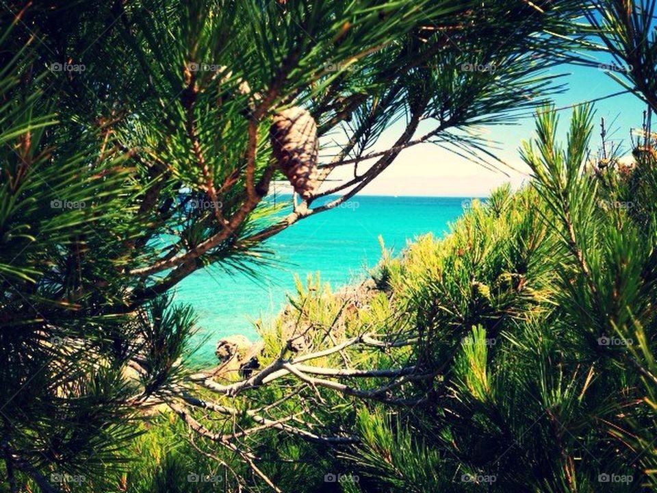 A peak into paradise