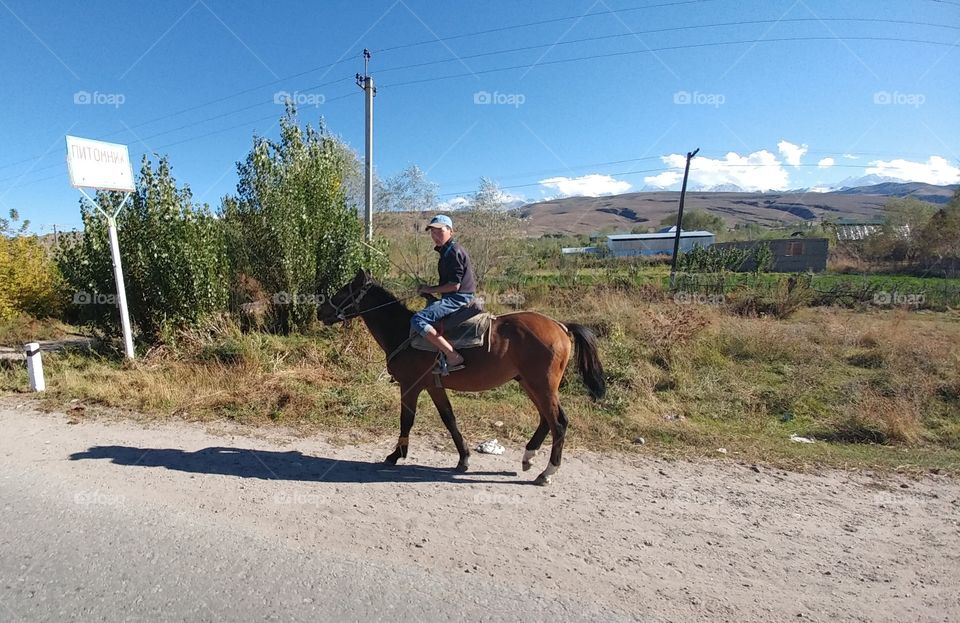 Took this shot when I traveled to Kyrgyzstan. There we a lot of cattle and local people are good with herding  those animals. 