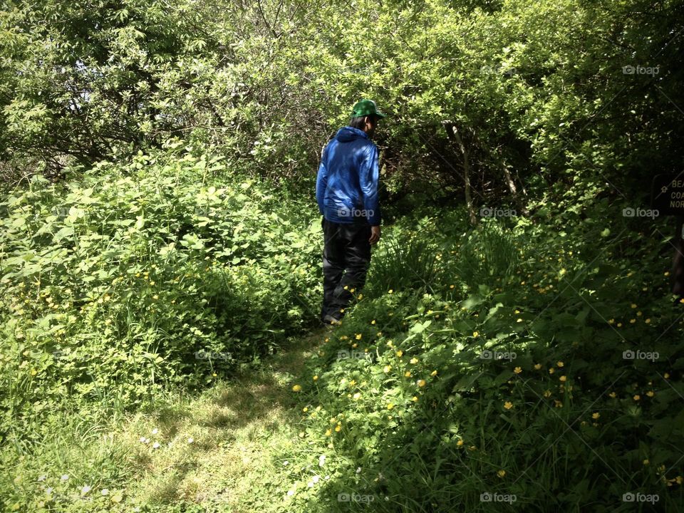 A man in blue on hiking trail