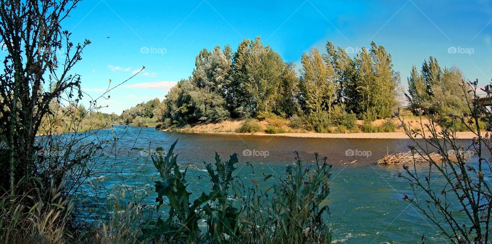 Paisaje con río. Villarroañe, León