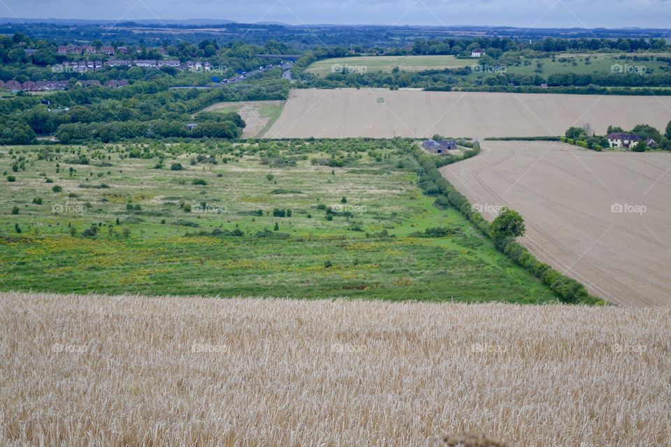 Valley Farmland