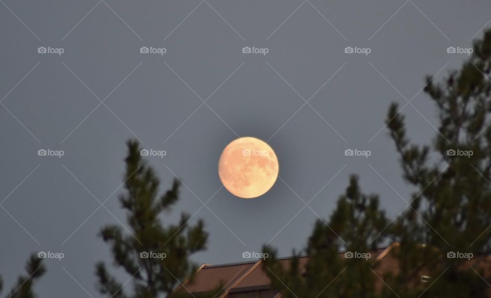 The moon rising on October 22nd was pretty 