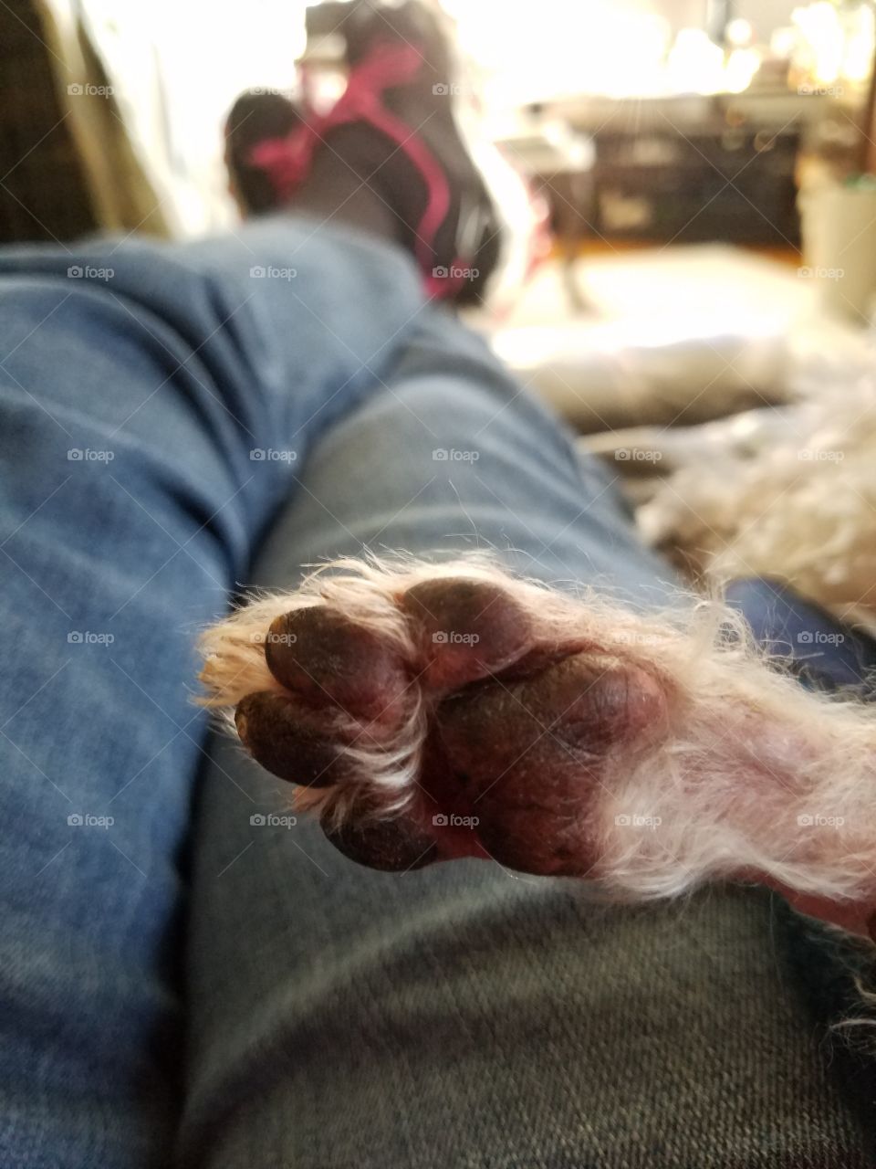 FRIENDS FOREVER the miles we've walked together.