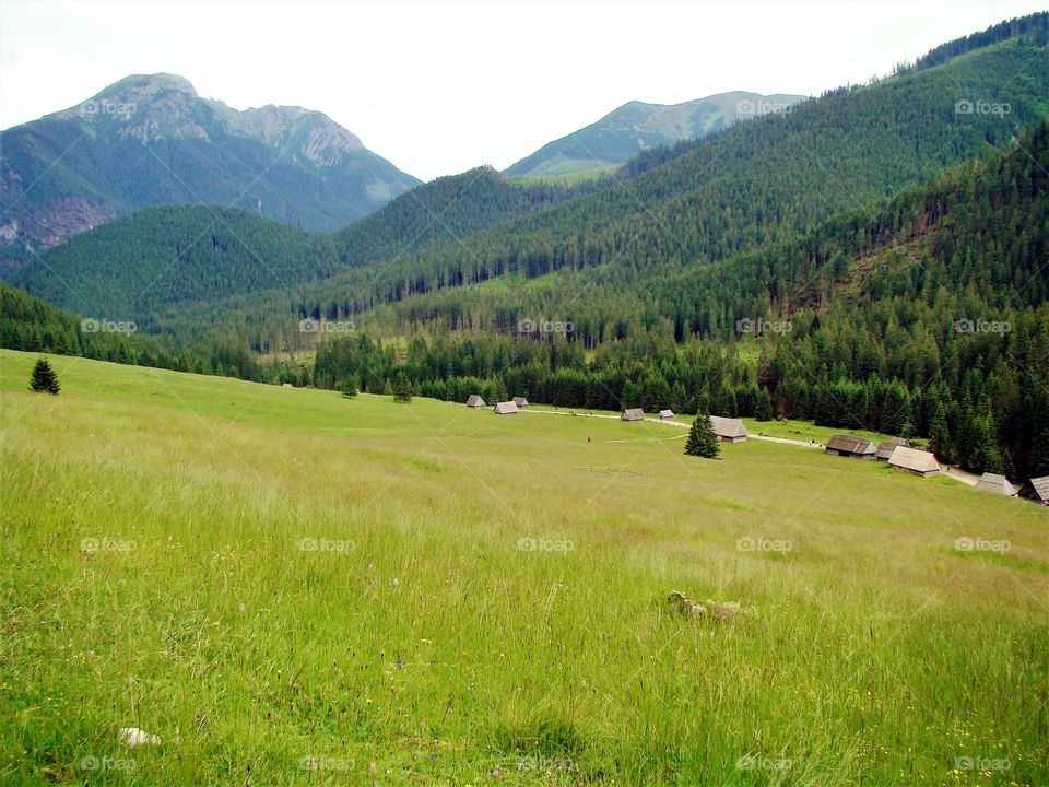 Chochołowska Valley in the Tatra Mountains
