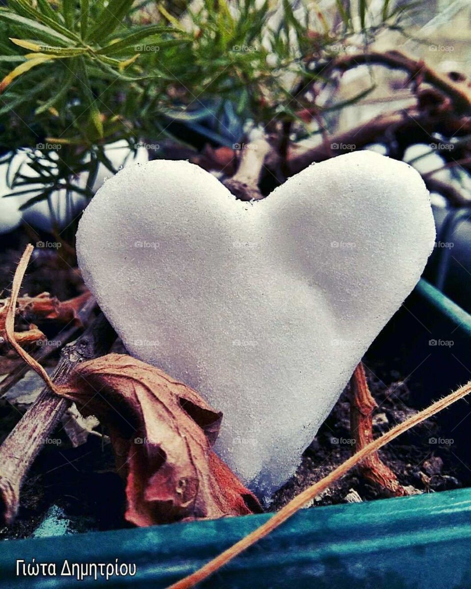 Frozen heart...!!!!.!!!